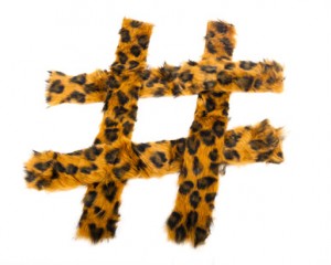 leopard hashtag