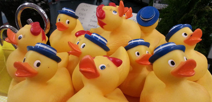 ducks cross selling